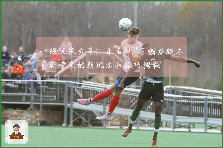 一线玩家分享：乐鱼APP下载后版本更新带来的新玩法和技巧揭秘