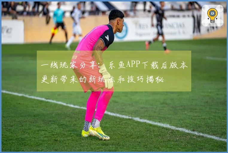 一线玩家分享：乐鱼APP下载后版本更新带来的新玩法和技巧揭秘